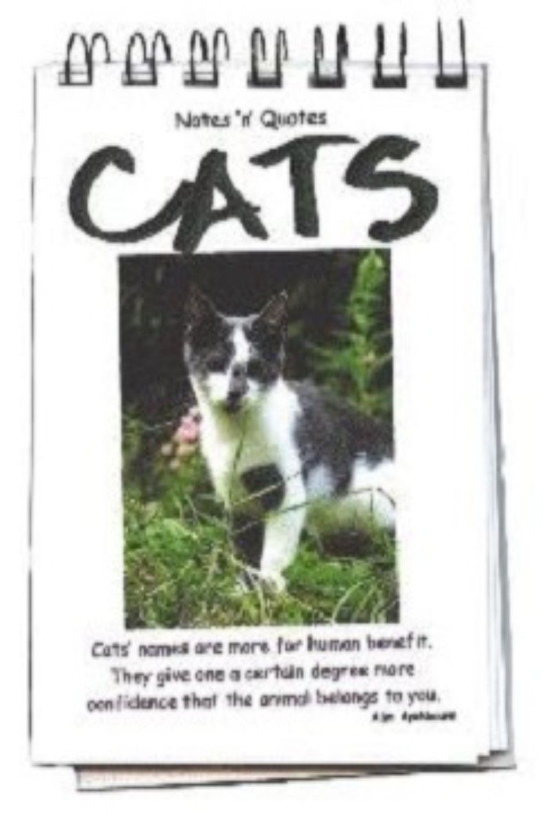 Cats